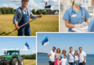 A Deep Dive into the Job Market in Estonia